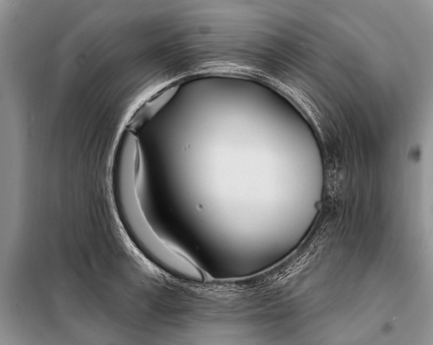 X0000098030995200804181225