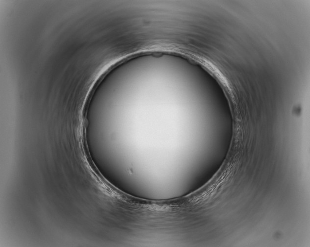 X0000098030996200804181225