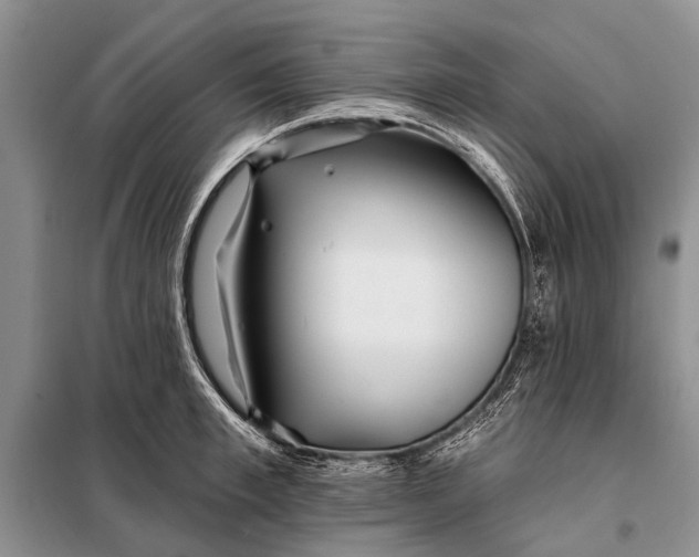 X0000098030997200804181225