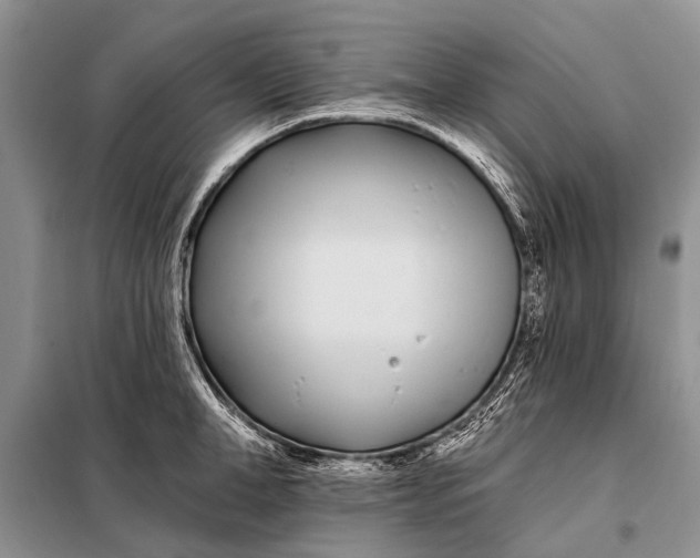 X0000098030998200804181225