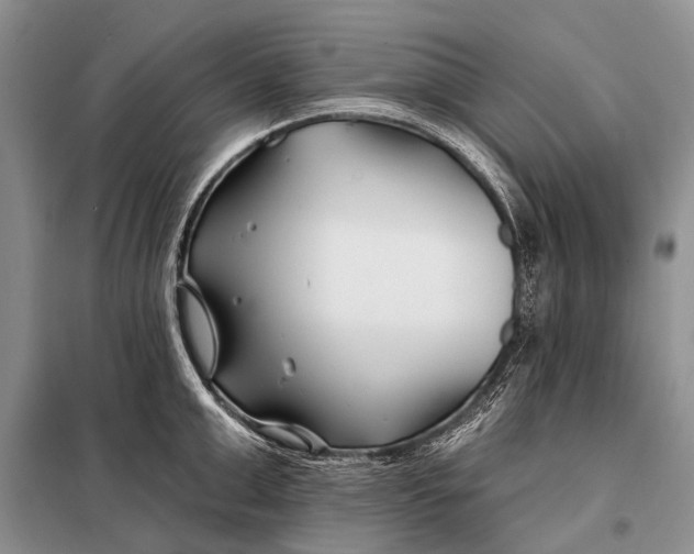 X0000098030999200804181225