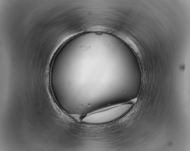 X0000098031000200804181225