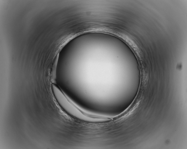 X0000098031001200804181225