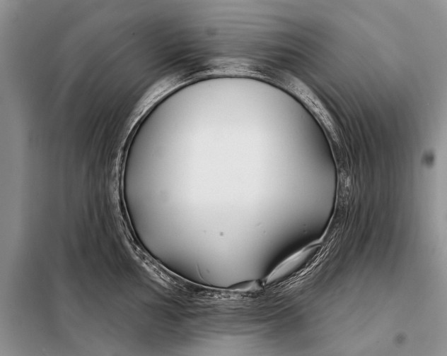 X0000098031002200804181225