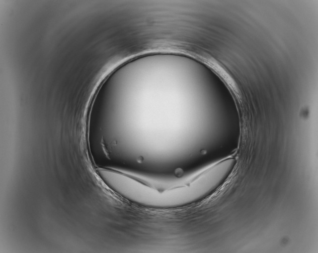 X0000098031004200804181224