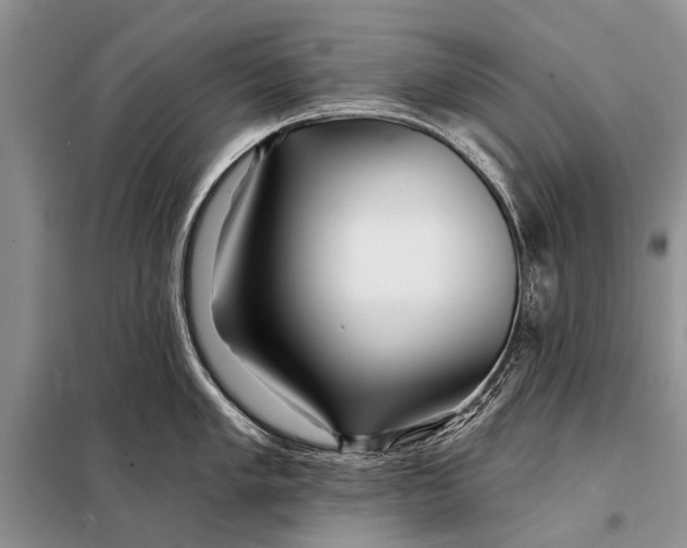 X0000098031005200804181224