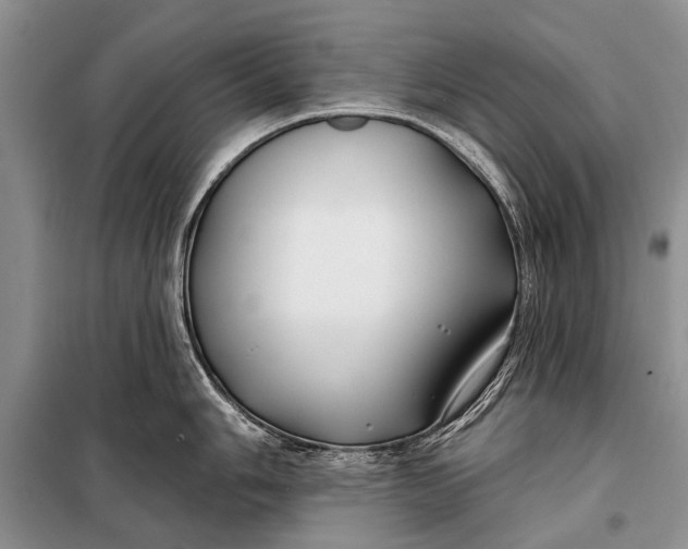 X0000098031006200804181224