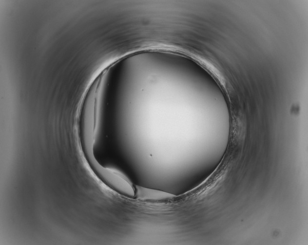 X0000098031007200804181224