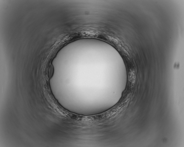 X0000098031009200804181224