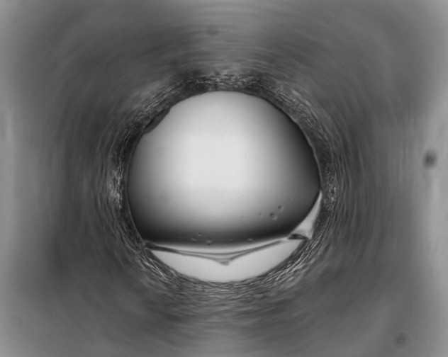 X0000098031010200804181224