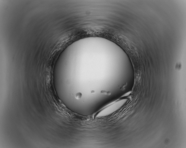 X0000098031012200804181224