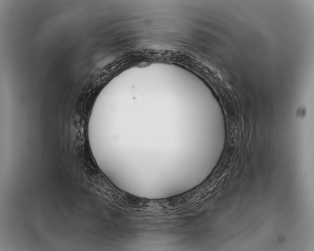 X0000098031013200804181224