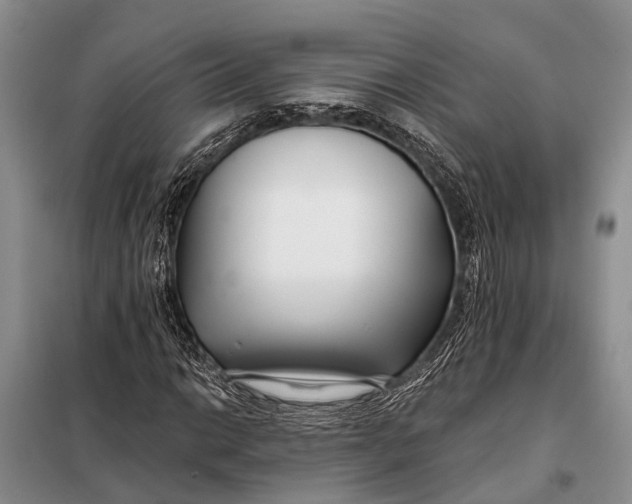 X0000098031014200804181224