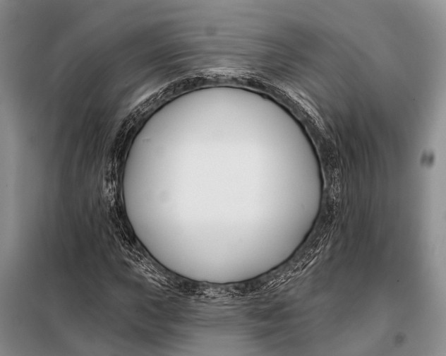 X0000098031015200804181224