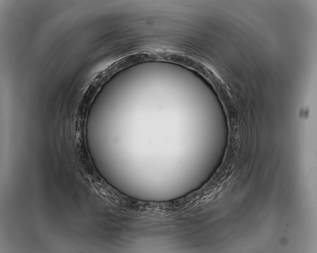 X0000098031016200804181224