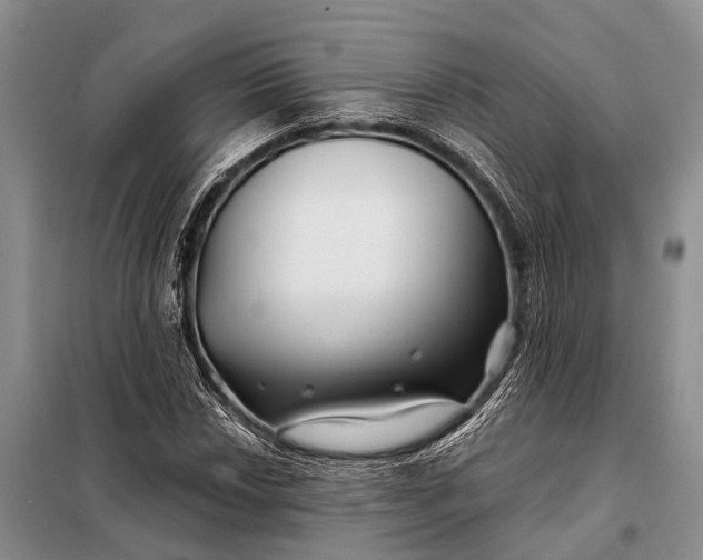 X0000098031018200804181224