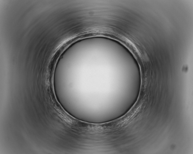 X0000098031019200804181224