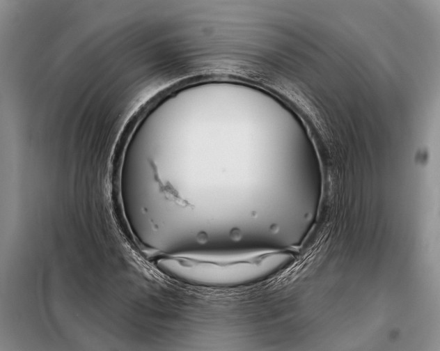 X0000098031020200804181224