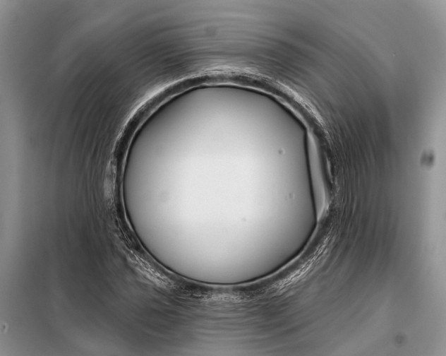 X0000098031021200804181224