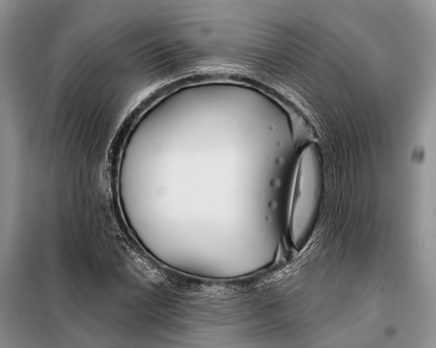 X0000098031022200804181224