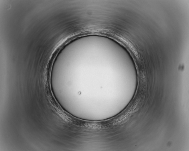 X0000098031023200804181224