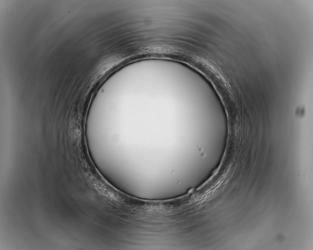 X0000098031025200804181224