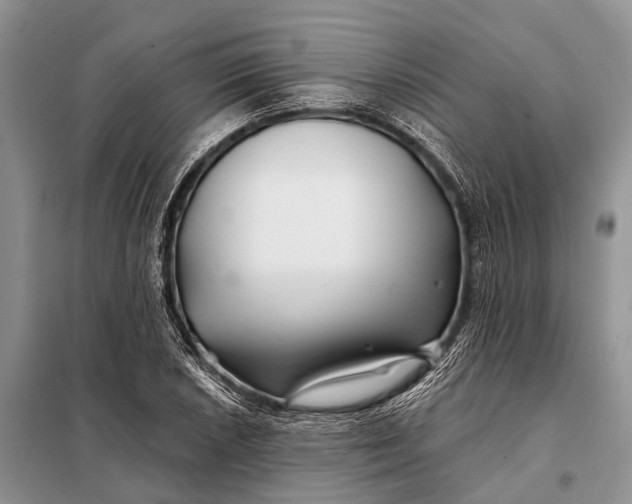 X0000098031026200804181224