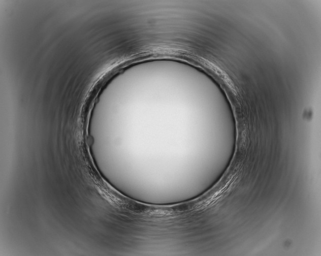 X0000098031027200804181224