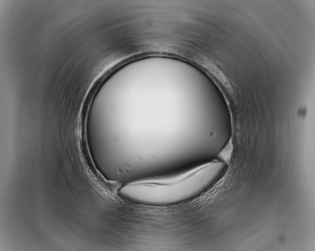 X0000098031028200804181224