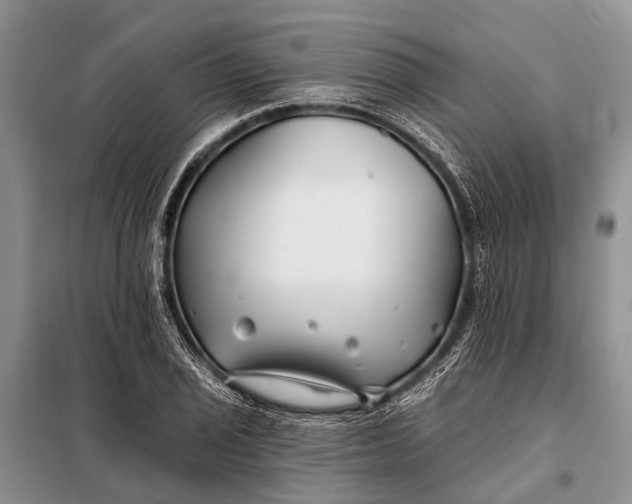 X0000098031029200804181224