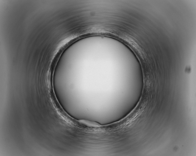 X0000098031030200804181224