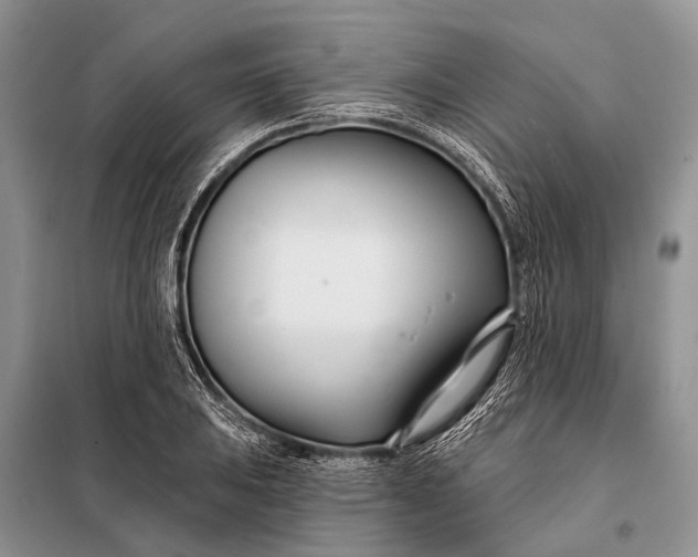 X0000098031031200804181224