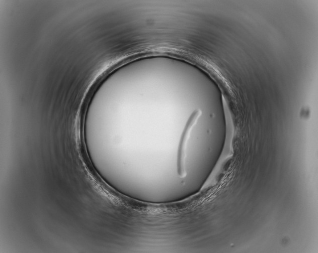 X0000098031032200804181224