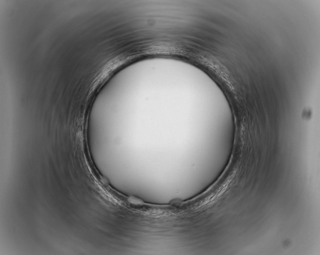 X0000098031033200804181224