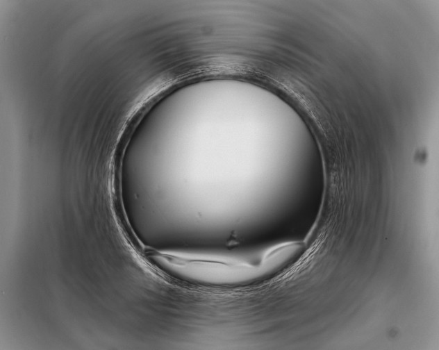 X0000098031034200804181224