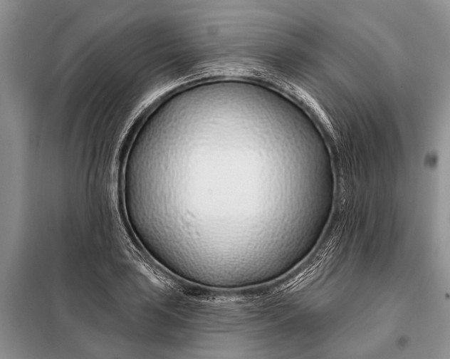 X0000098031035200804181224