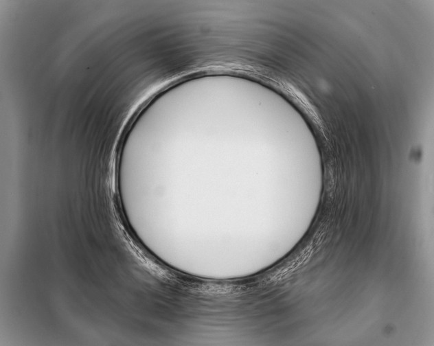 X0000098031036200804181224