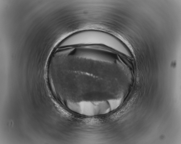 X0000098031037200804181224