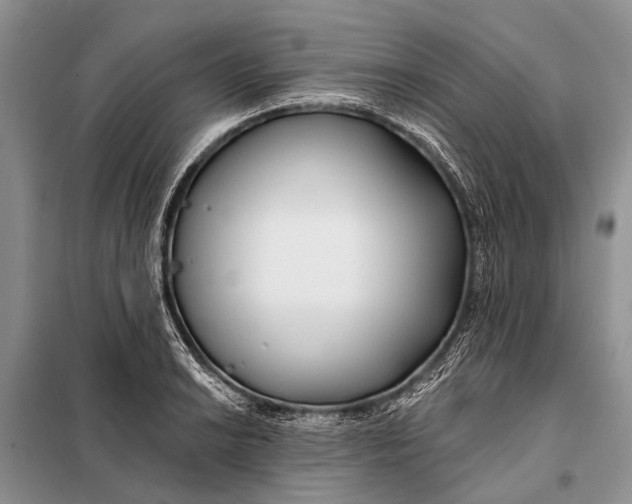 X0000098031038200804181224