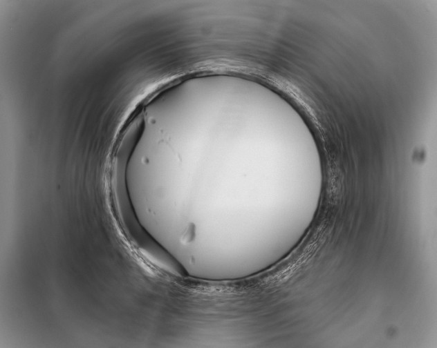 X0000098031040200804181224