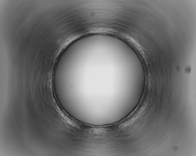 X0000098031041200804181224