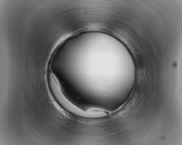 X0000098031042200804181224