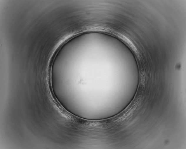 X0000098031043200804181224