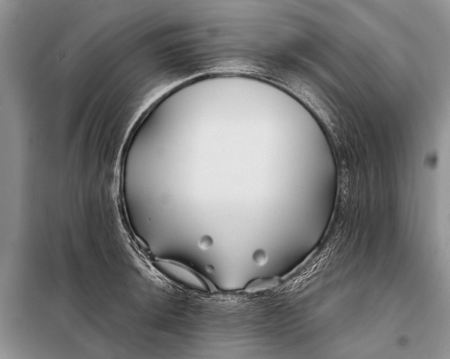 X0000098031044200804181224