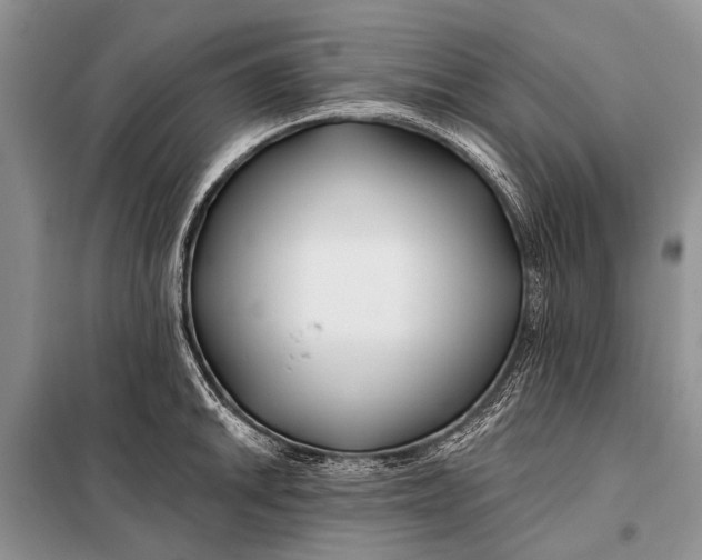 X0000098031046200804181224