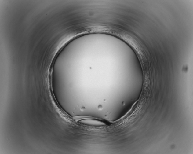 X0000098031047200804181224