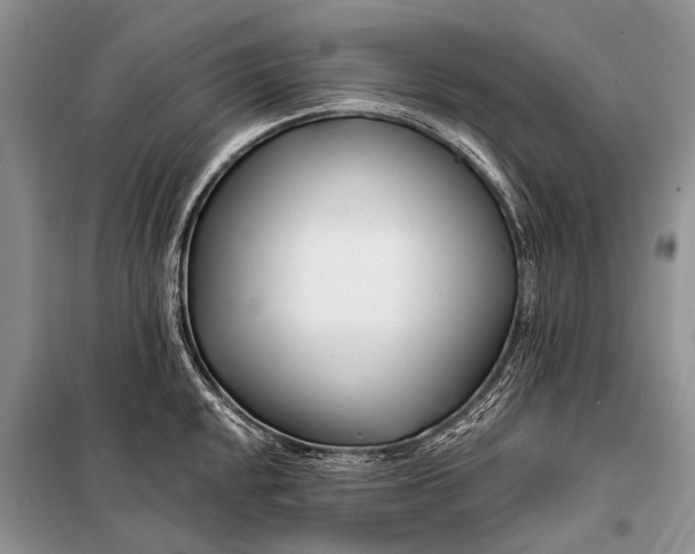 X0000098031048200804181224