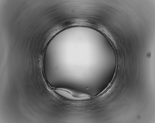 X0000098031049200804181224