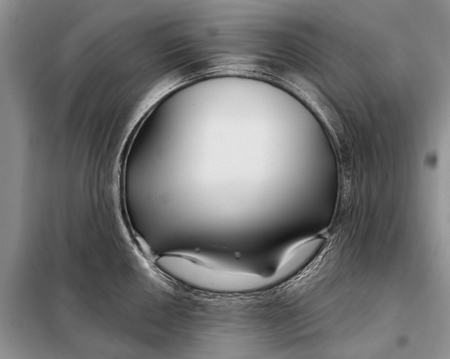 X0000098031050200804181224