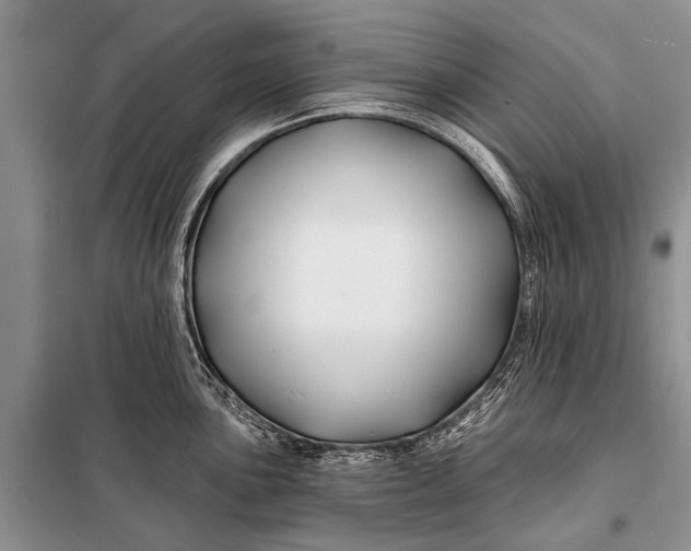 X0000098031051200804181224